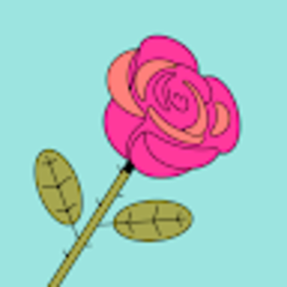 Meet your Posher, Rosa